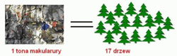 drzewa