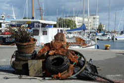 złom, odpady z morza